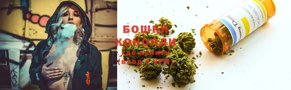 стафф Семилуки