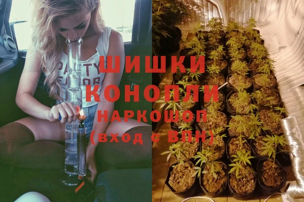 ECSTASY Армянск