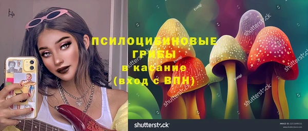ECSTASY Армянск