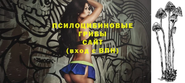 эйфоретик Аркадак