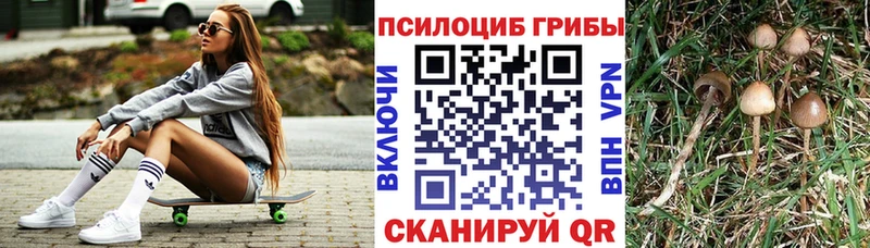 Галлюциногенные грибы ЛСД  где можно купить наркотик  Асбест 